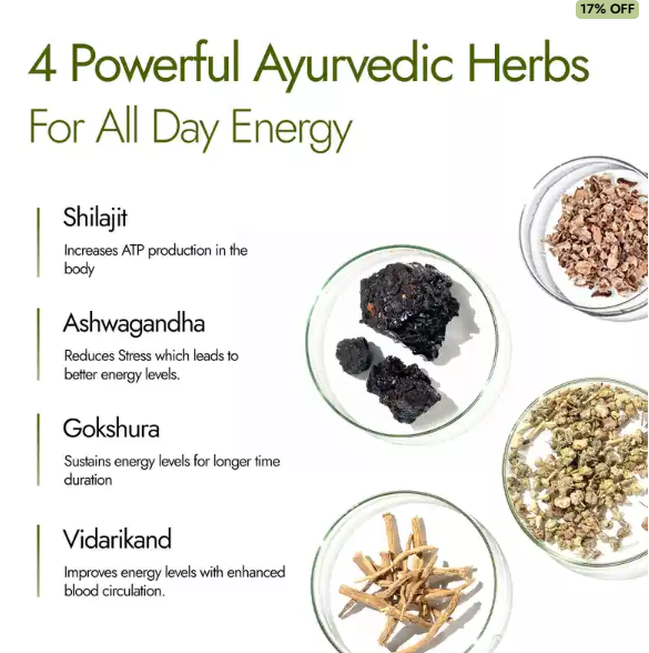 Shilajit Energy Resin